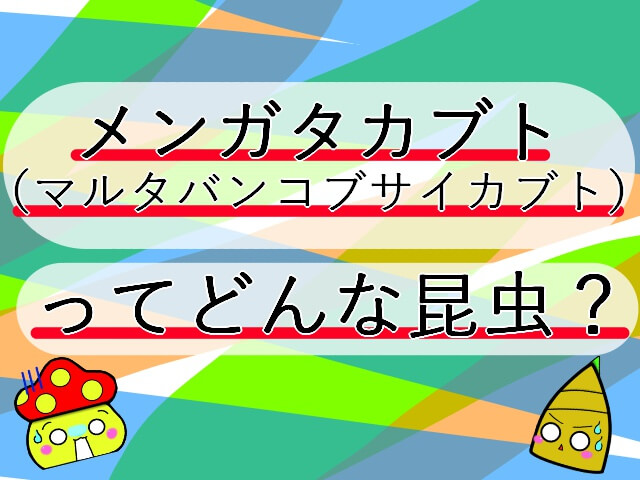 Thumbnail of post image 071